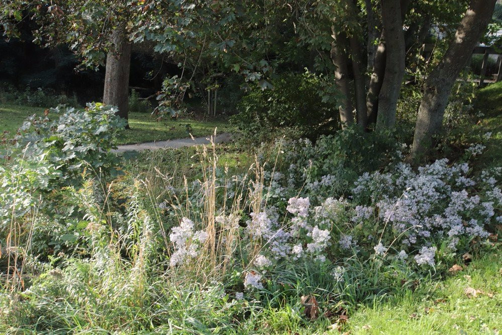 Chisholm Park-安蒂岗尼希必去景点