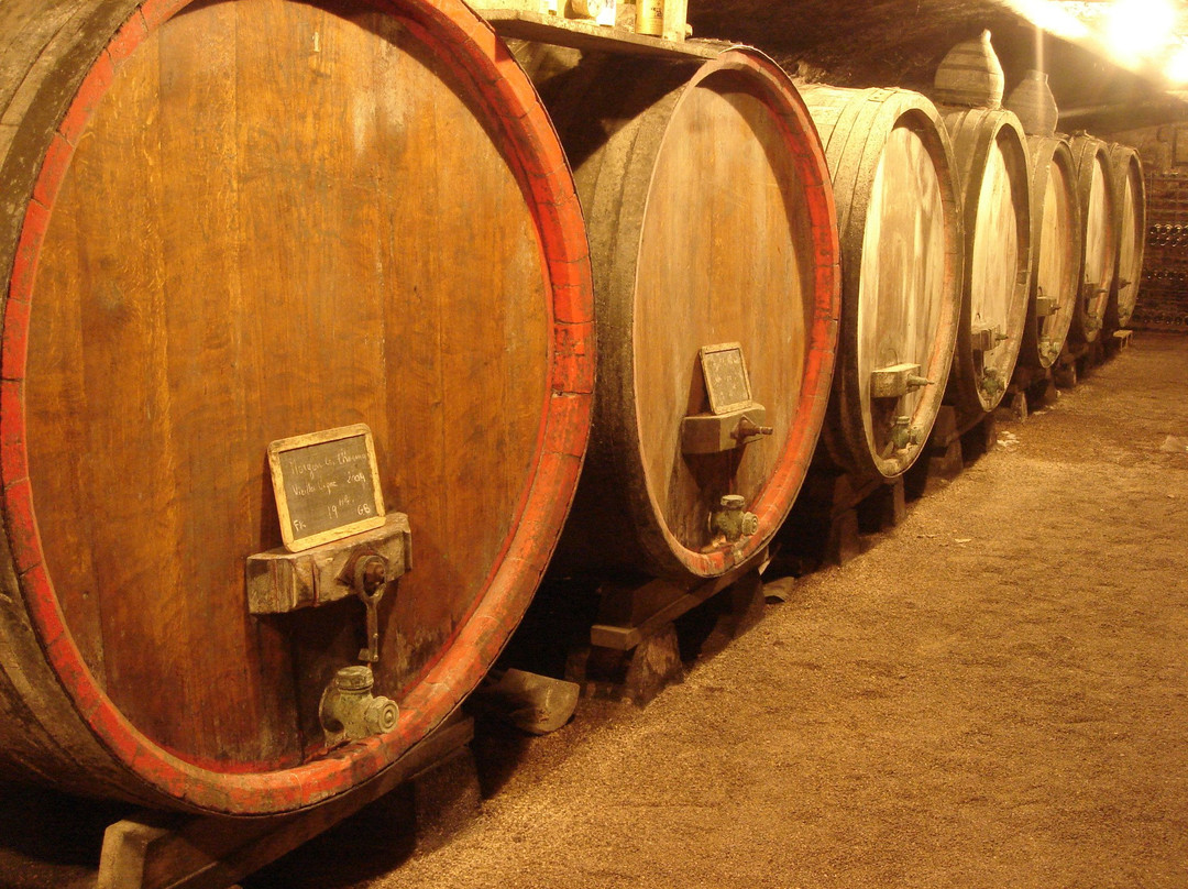 Domaine Gerard-Brisson景点图片
