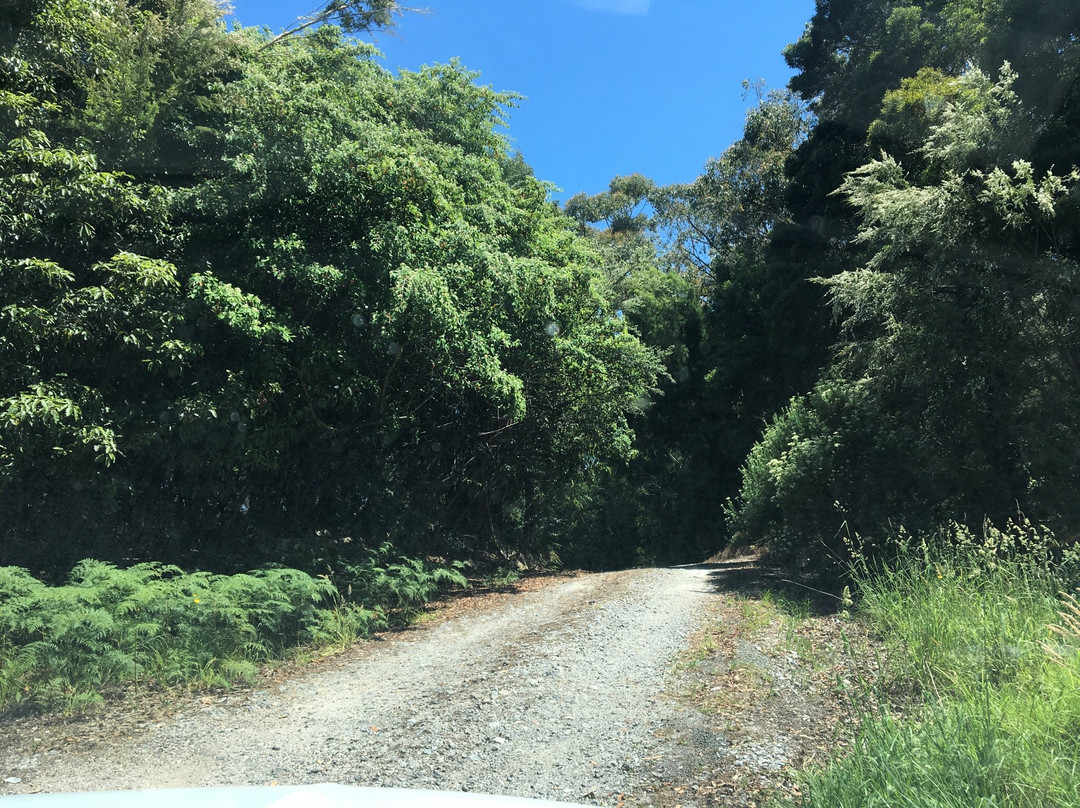 福斯特旅游景点-Foster Flora Reserve