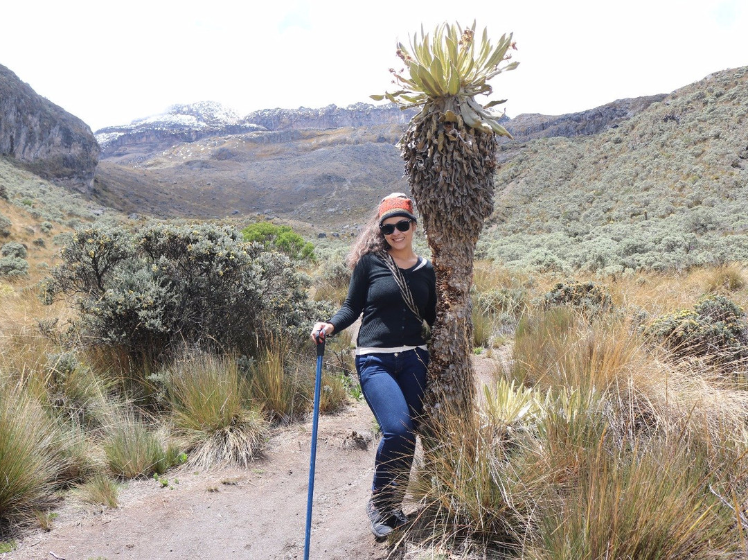 Turismo Gaia.-佩雷拉必去景点