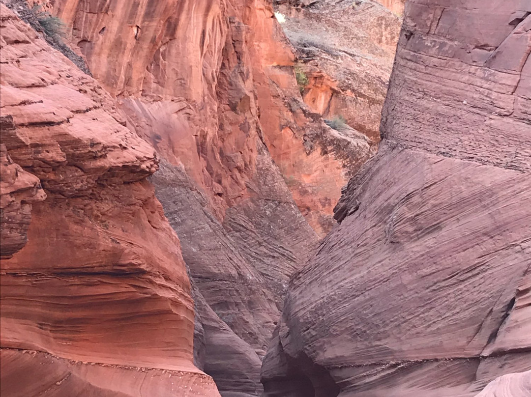 Waterholes Canyon景点图片