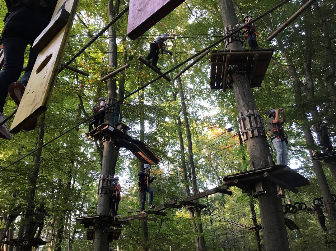 Fun Forest Abenteuerpark Offenbach-奥芬巴赫必去景点