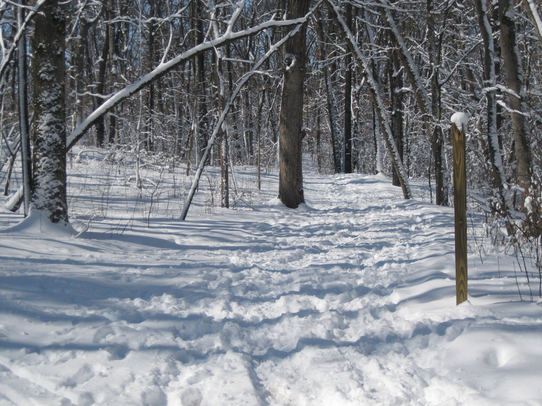Lake Kohlmier-Owatonna必去景点