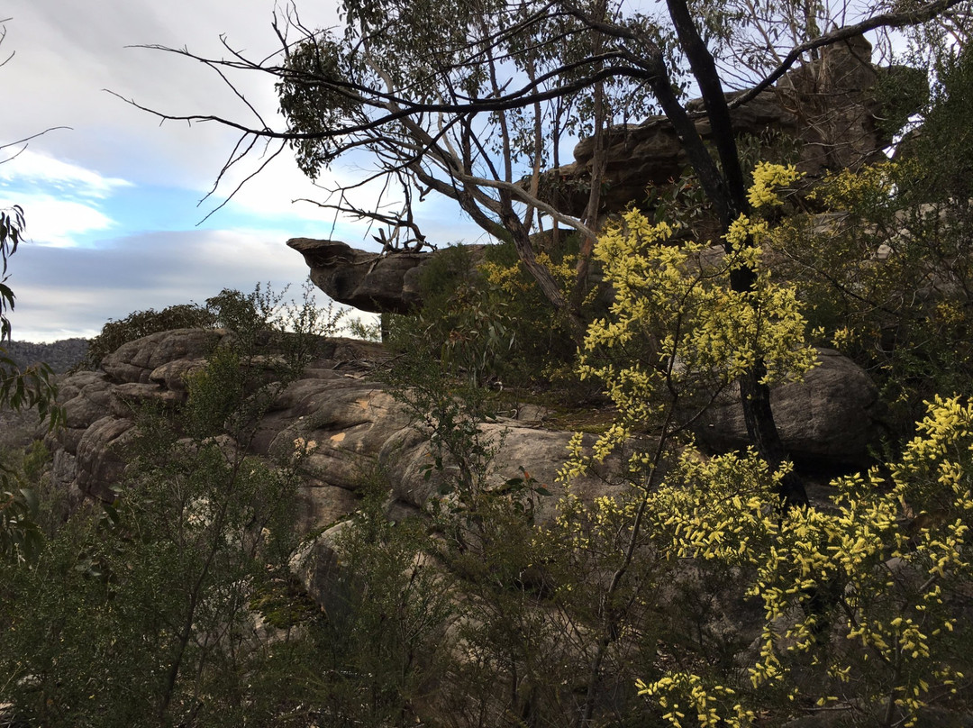 Tower Hill-贺思盖必去景点