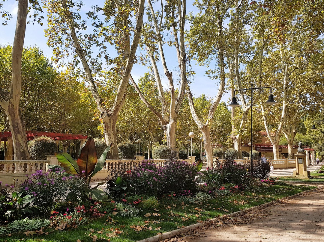 Parque Miguel Servet景点图片
