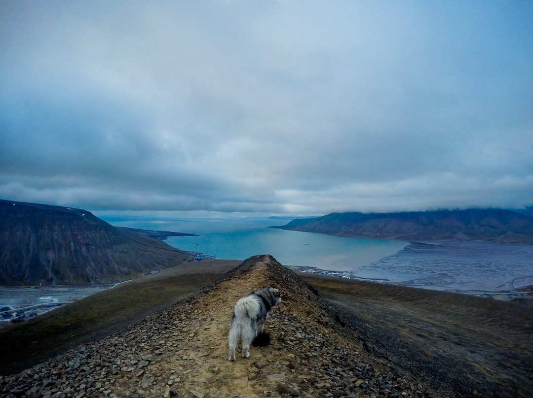 Polardogs Svalbard-朗伊尔城必去景点