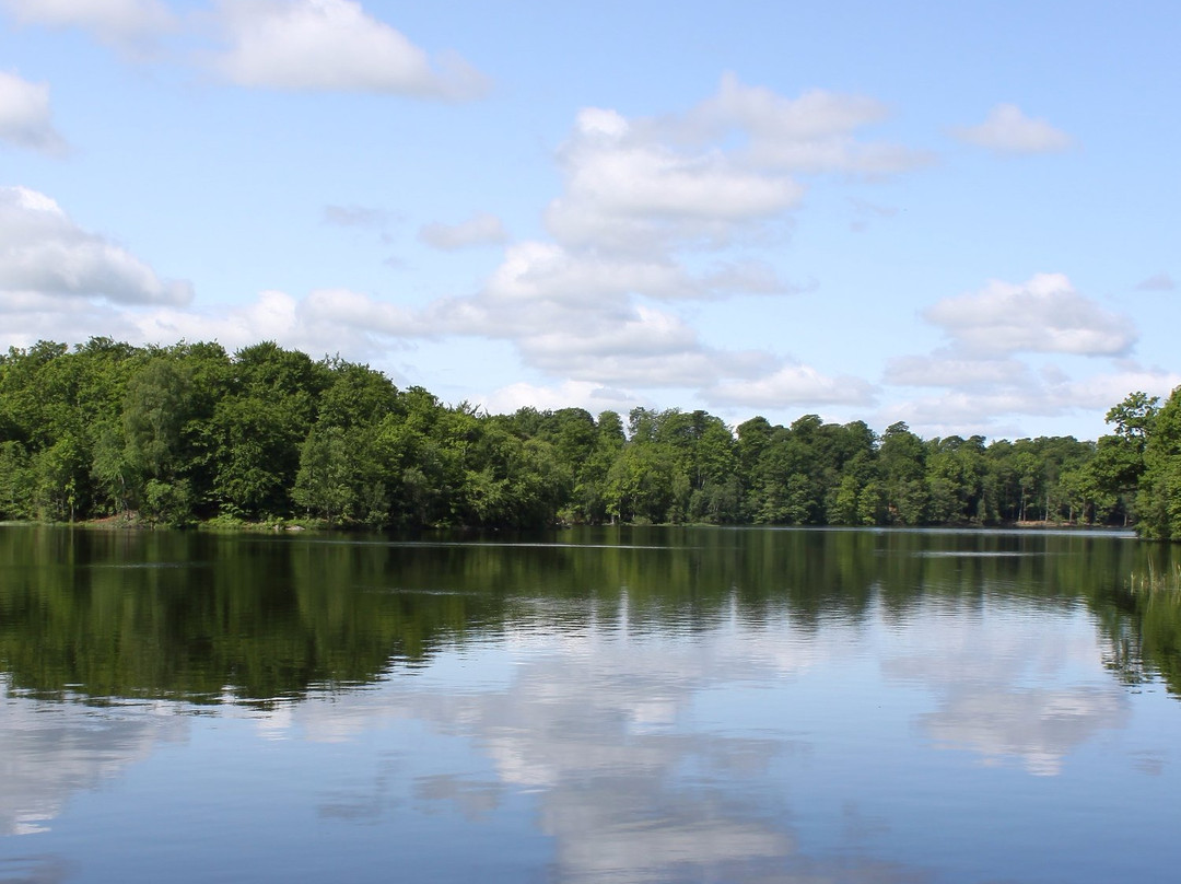 Dagstorpssjön – Östra badplatsen景点图片