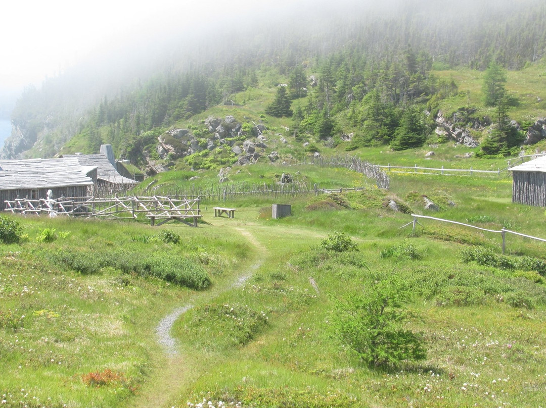 New Bonaventure旅游攻略图片