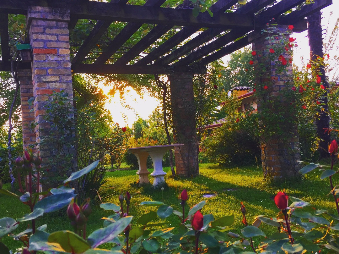 Susans旅游攻略图片