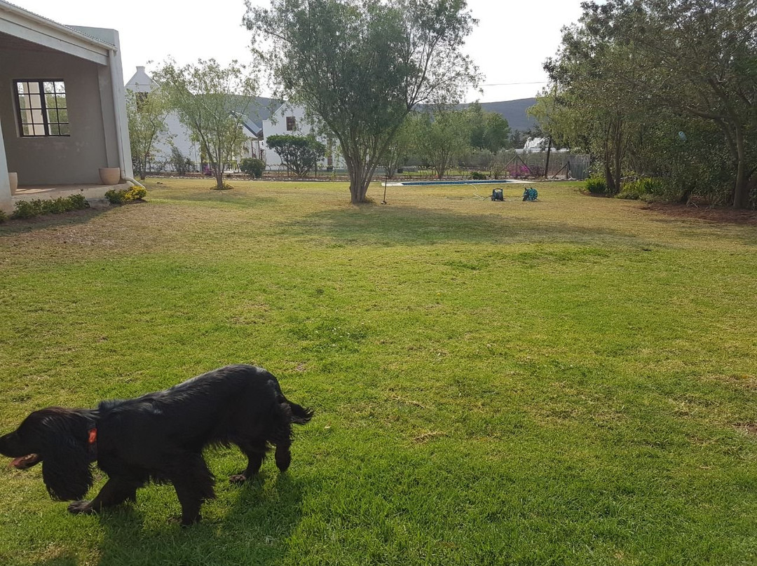 SummerHouse McGregor主图