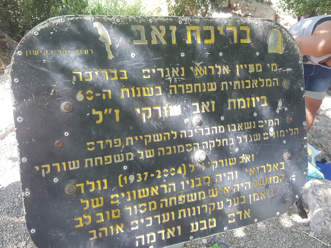 Alroi's Spring-Kiryat Tivon必去景点