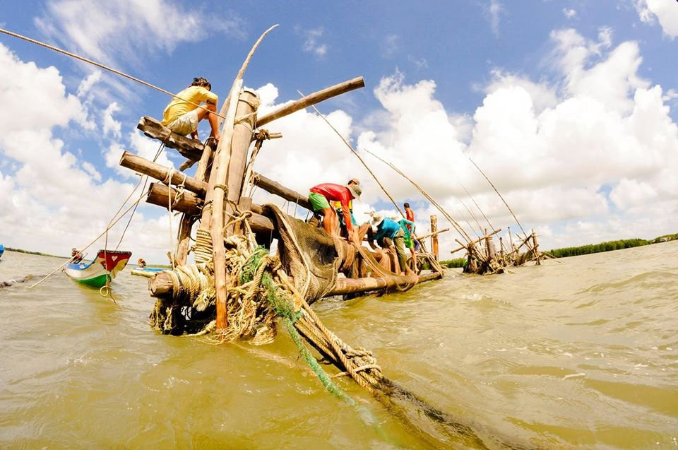 Ca Mau Culture - Tourism Park