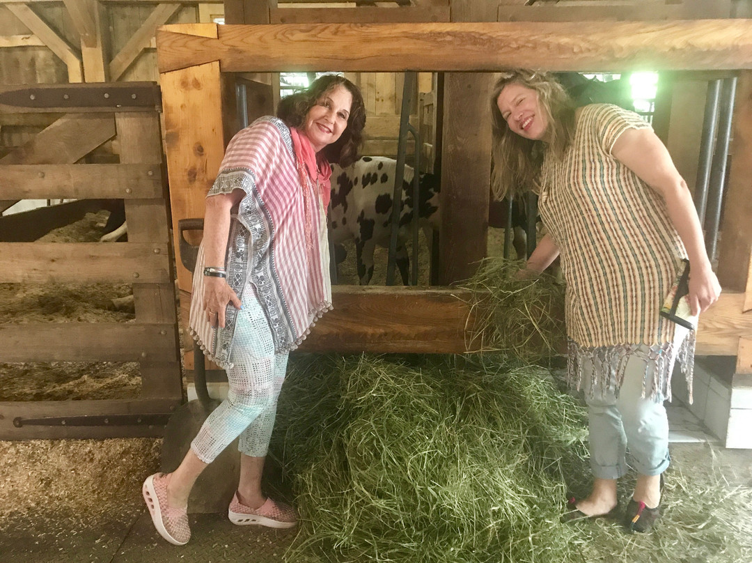 Thorncrest Farm and Milk House Chocolate-Goshen必去景点