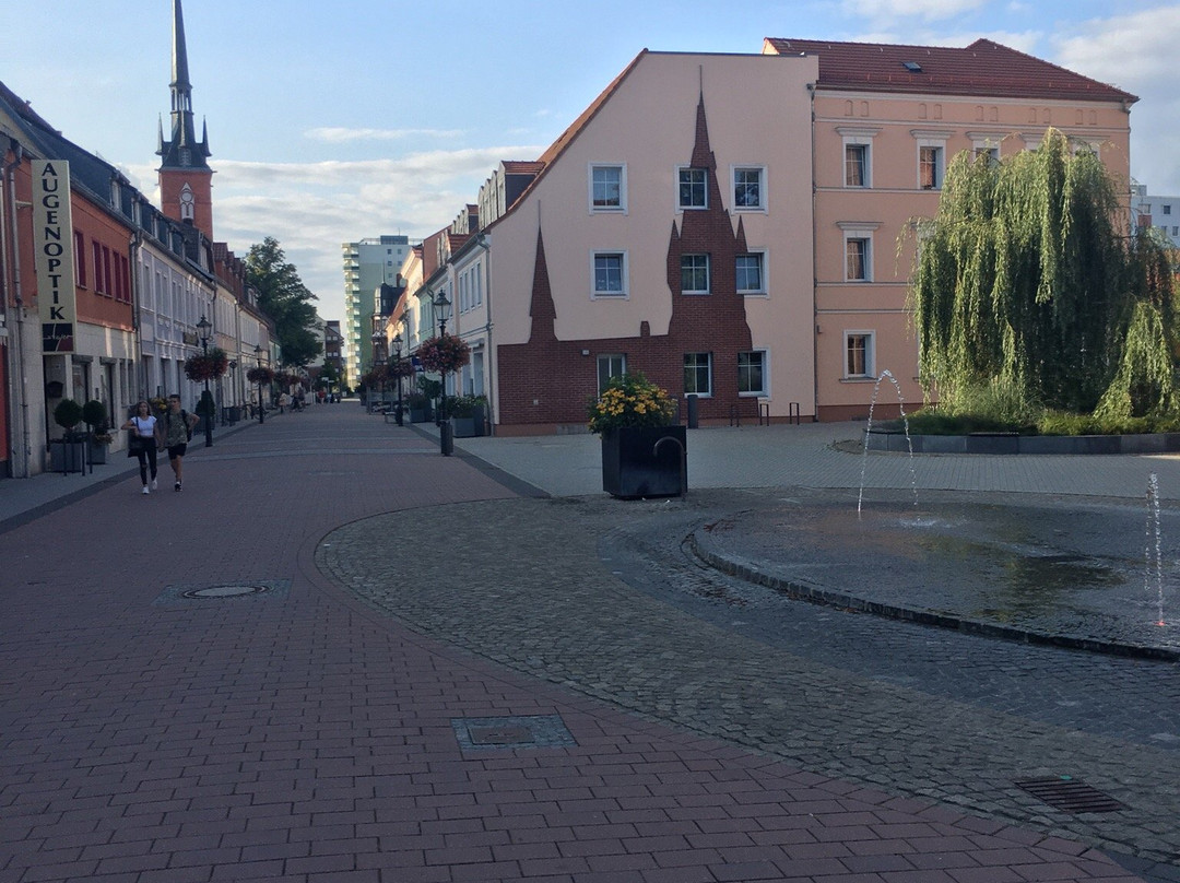 Uckermarkische Buhnen Schwedt景点图片