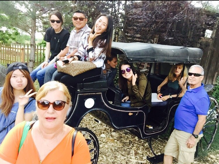 Sunflower Farm-朗蒙特必去景点