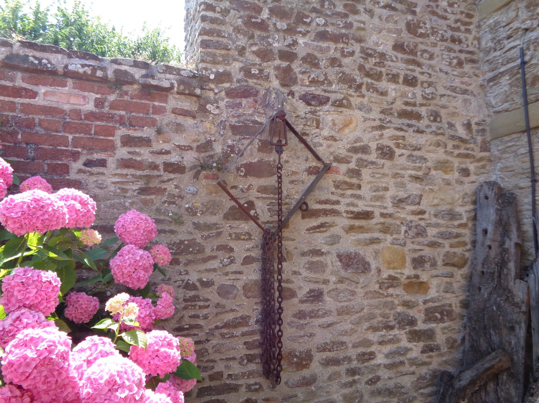 Winchelsea Court Hall Museum-Winchelsea必去景点
