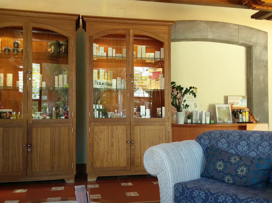 Spa in Melia Tamarindos景点图片