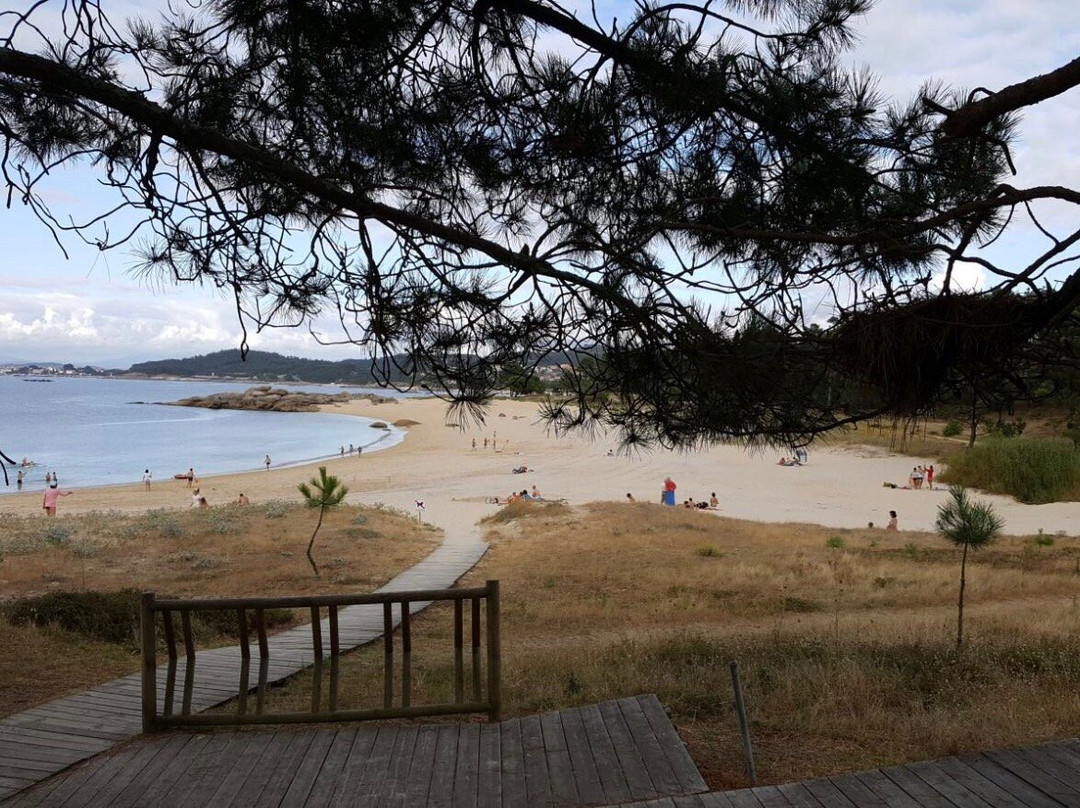 Playa Area Grande-El Grove必去景点