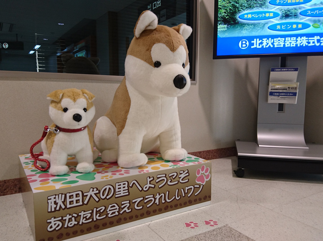 Michi-no-Eki Odate-Noshiro Airport-北秋田市必去景点