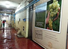 Bodega La Riojana Coop-Chilecito必去景点