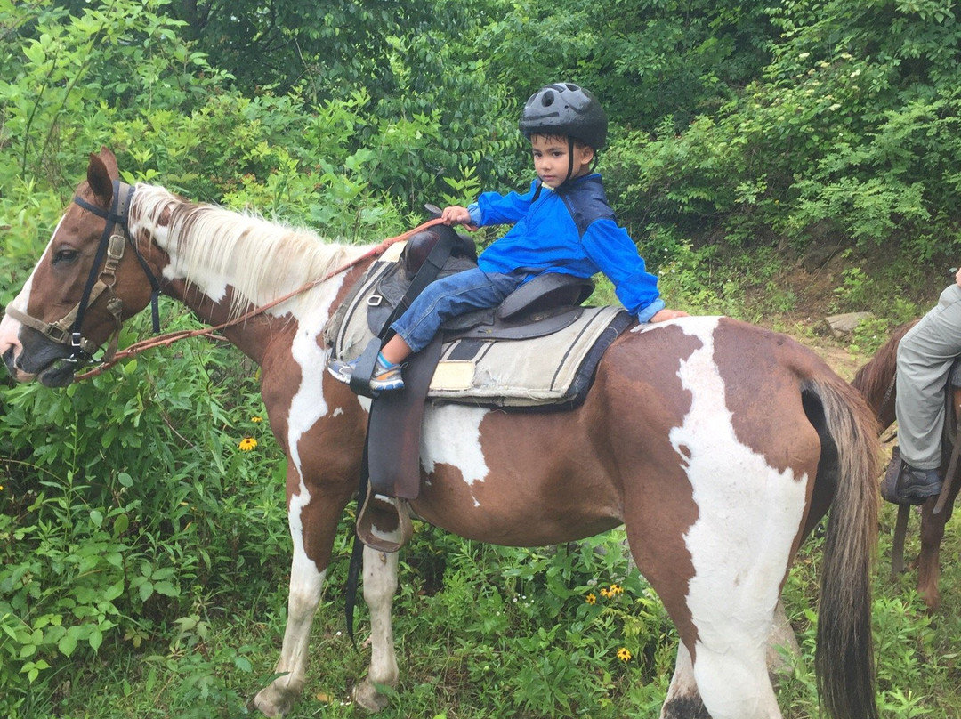 Panther Creek Horseback Rides-Clyde必去景点