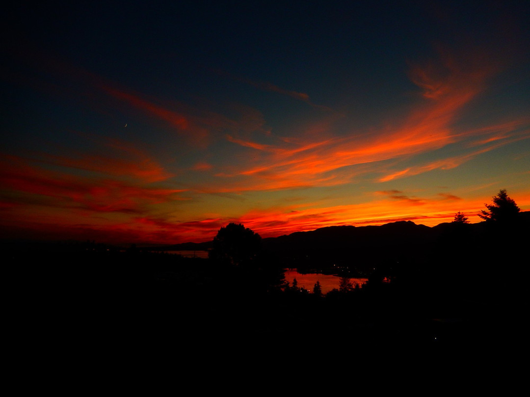 Capitol Hill Reservoir Park-本那比必去景点