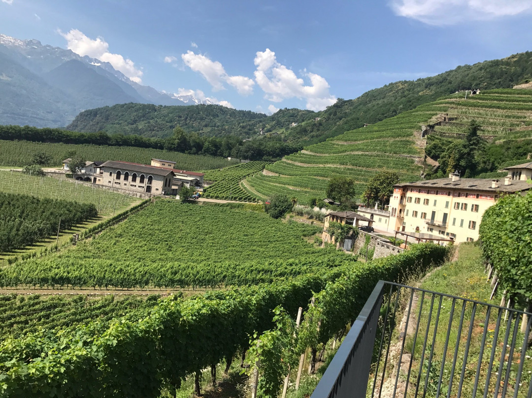 Villa Tirano旅游攻略图片