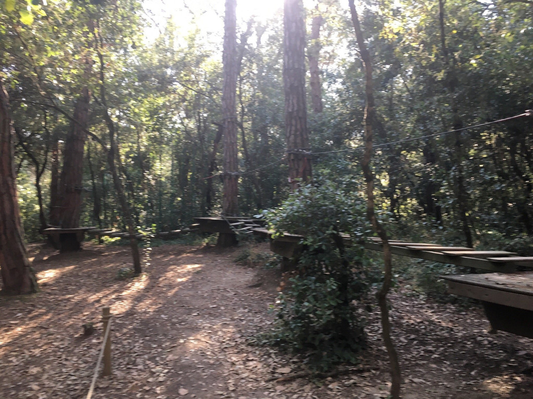 El Bosc Vertical景点图片