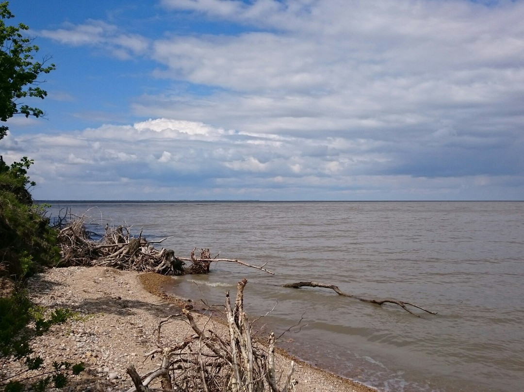 Khanka Lake-Kamen-Rybolov必去景点