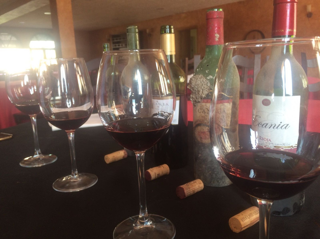 Bodegas Vina Laguardia S L景点图片