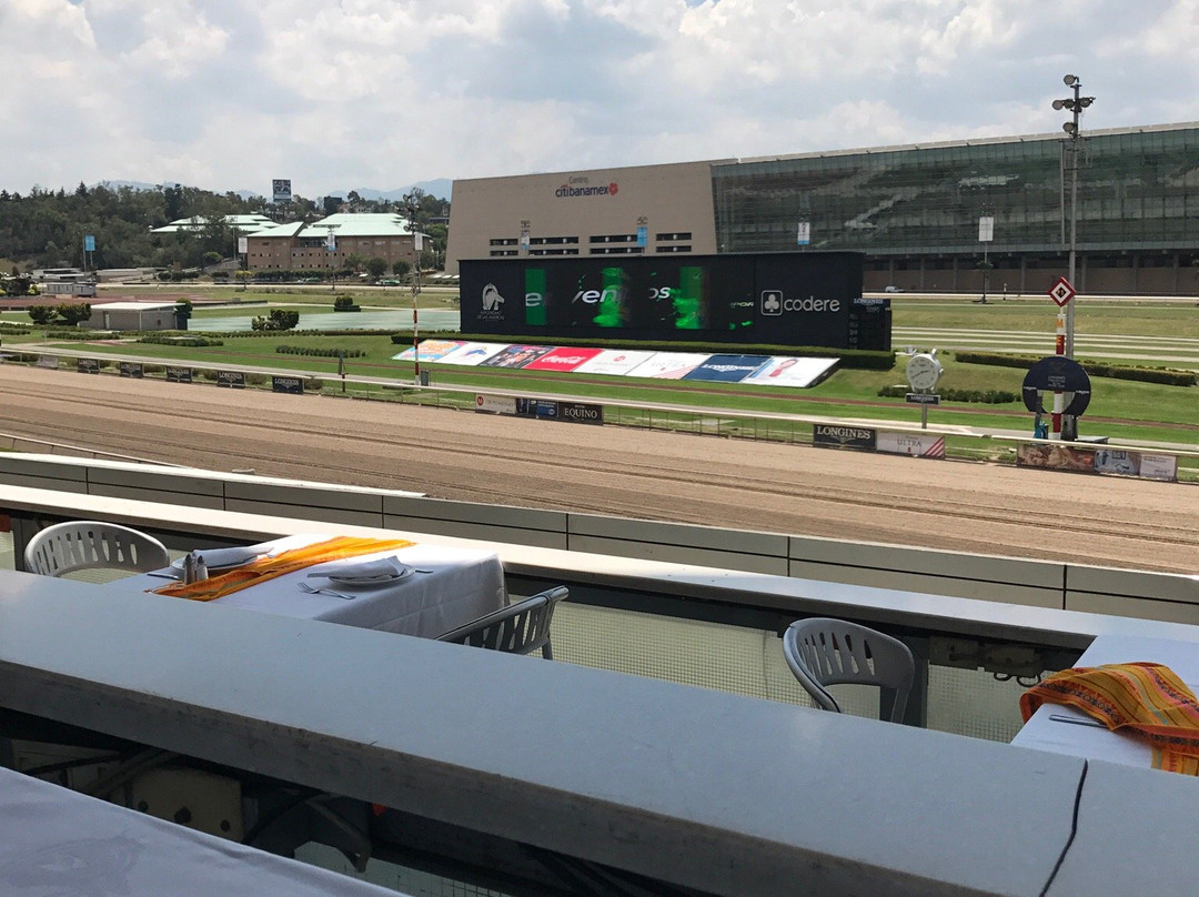 Hipodromo de las Americas景点图片