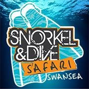 Snorkel & Dive Safari Swansea景点图片