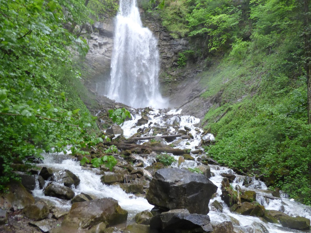 Cascade de l'Englennaz景点图片