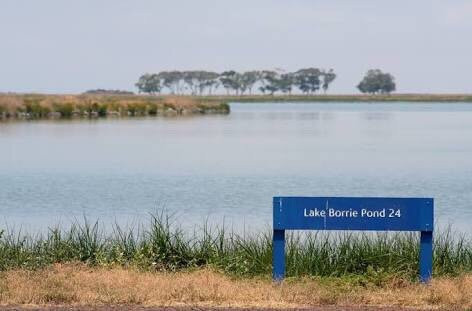 Lake Borrie Wetlands-Little River必去景点