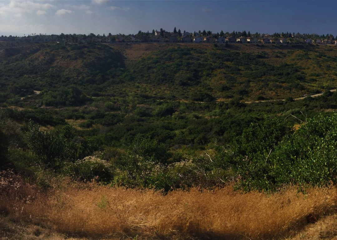 Rice Canyon Trail-丘拉维斯塔必去景点