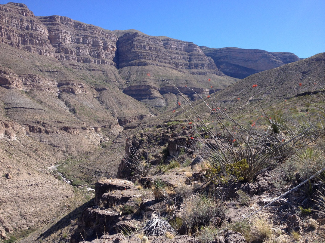Dog Canyon Trail-阿拉莫戈多必去景点