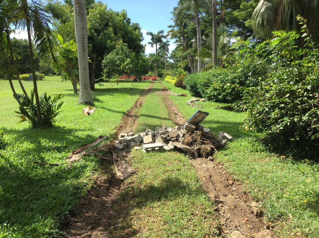 Botanical Gardens-劳托卡必去景点