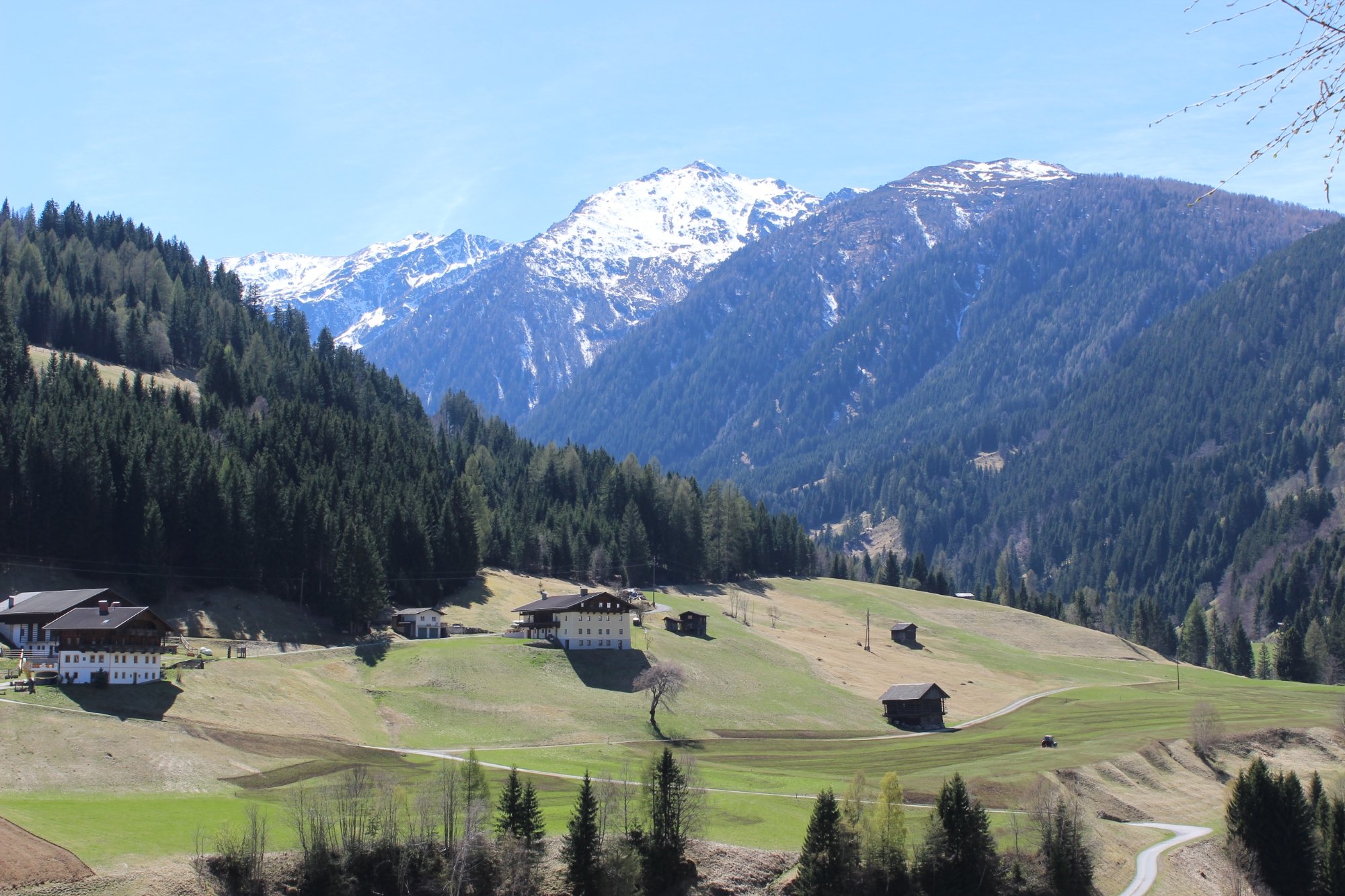 Gasthof Luggau-酒店景观