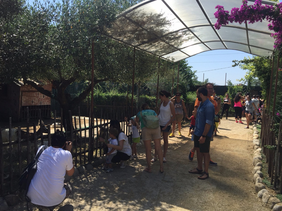 Ripoli旅游景点-Giocolandia