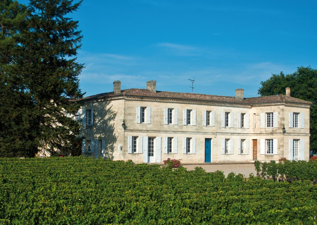 Château Carteau Côtes Daugay景点图片