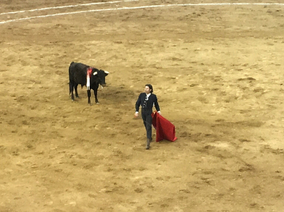 Plaza de Toros El Centenario-瓜达拉哈拉必去景点