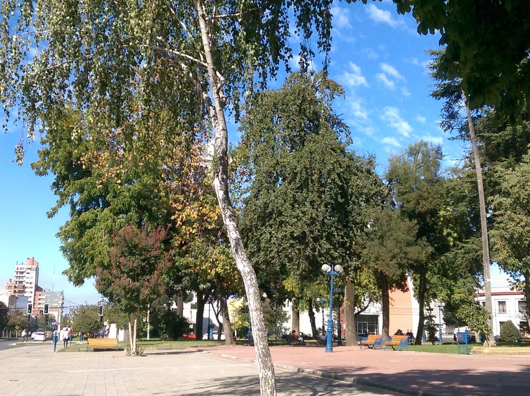 Plaza de Armas-奇廉必去景点