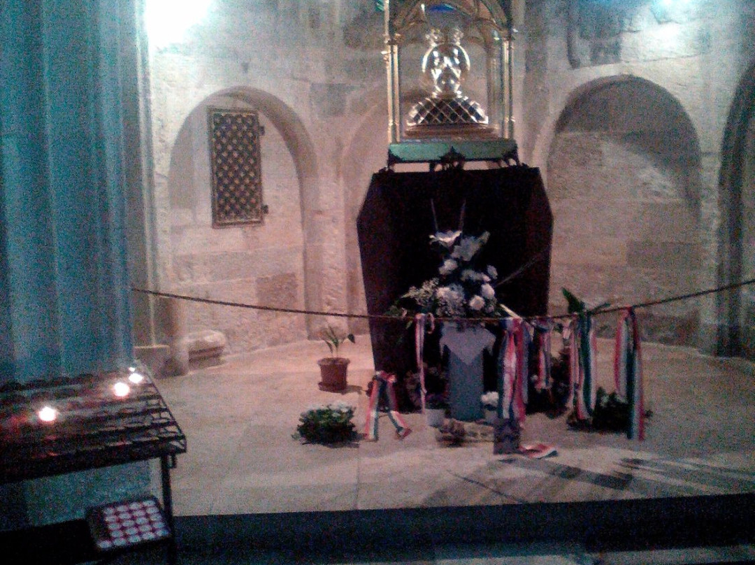 Katedra Wniebowzięcia Najświętszej Maryi Panny景点图片