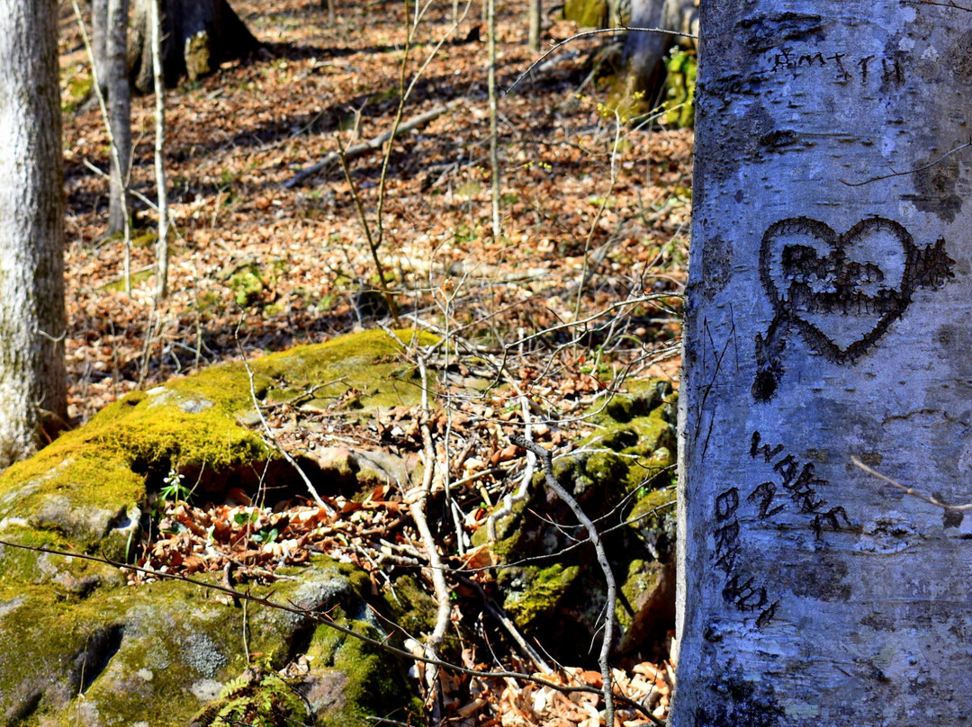 Shanty Hollow Lake Hiking Trail-鲍灵格林必去景点