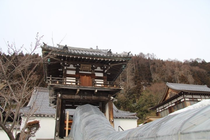 Otozan Onsenji Temple景点图片