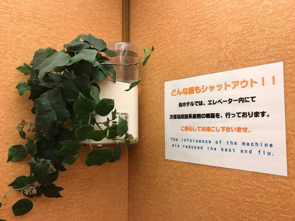 Hotel Melxc主图