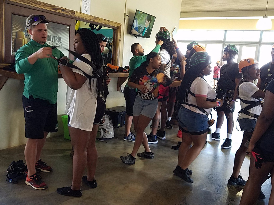 Zipline Tours in Puerto Rico景点图片