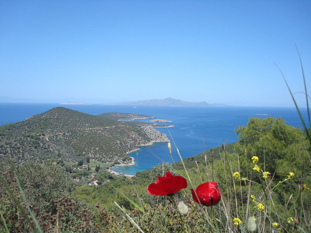 Saronic Gulf Islands旅游攻略图片
