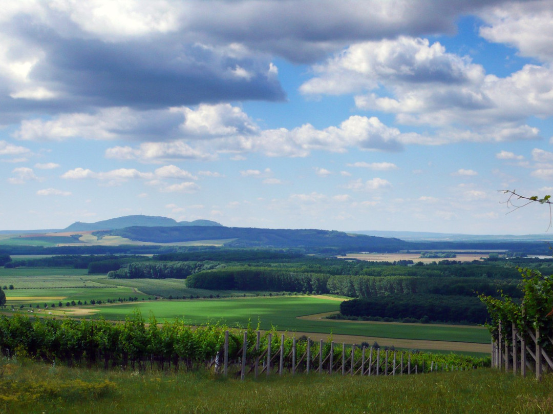 Winery Valka-Nosislav必去景点