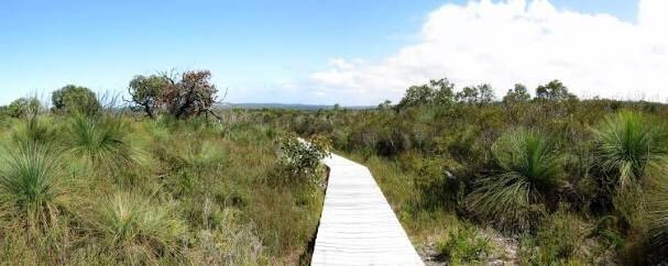 Mount Richmond National Park-Cape Bridgewater必去景点